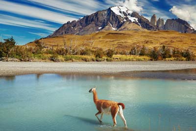 پارک ملی تورس دل پین-شیلی